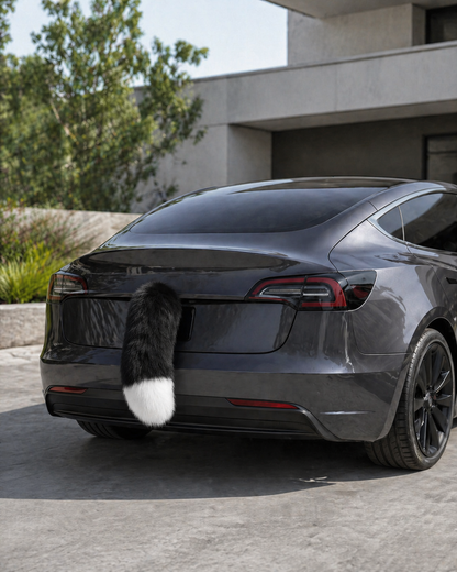 The Car Tail