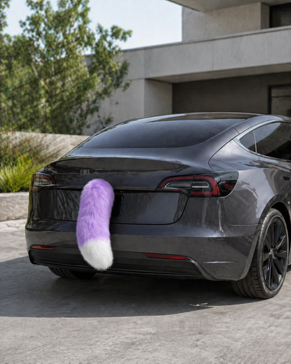 The Car Tail