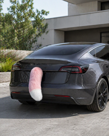 The Car Tail